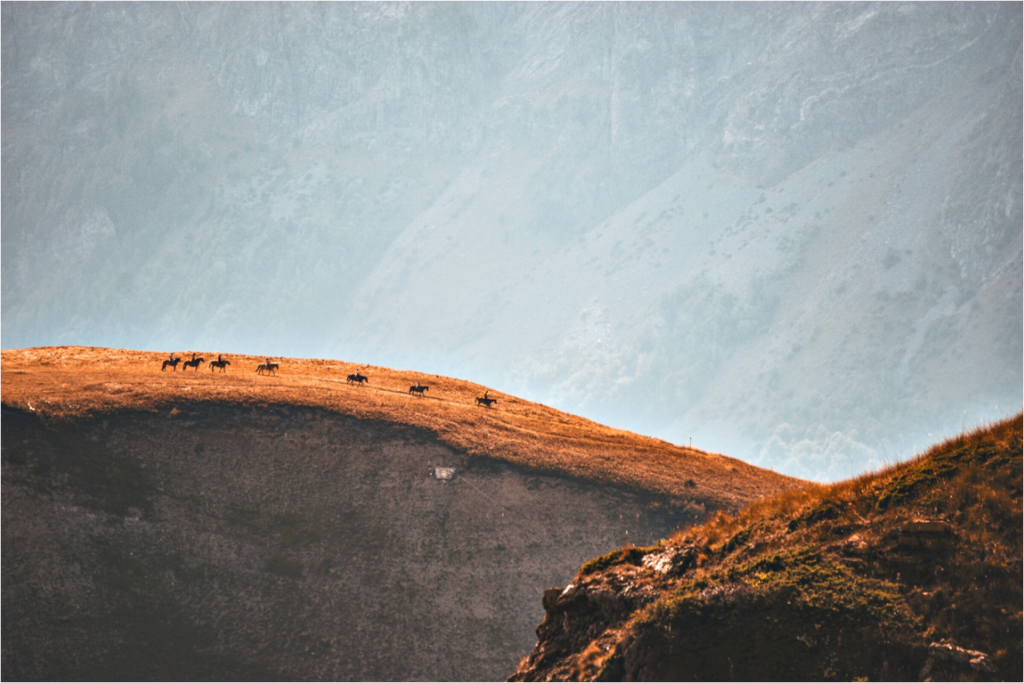 Main image Solitude.