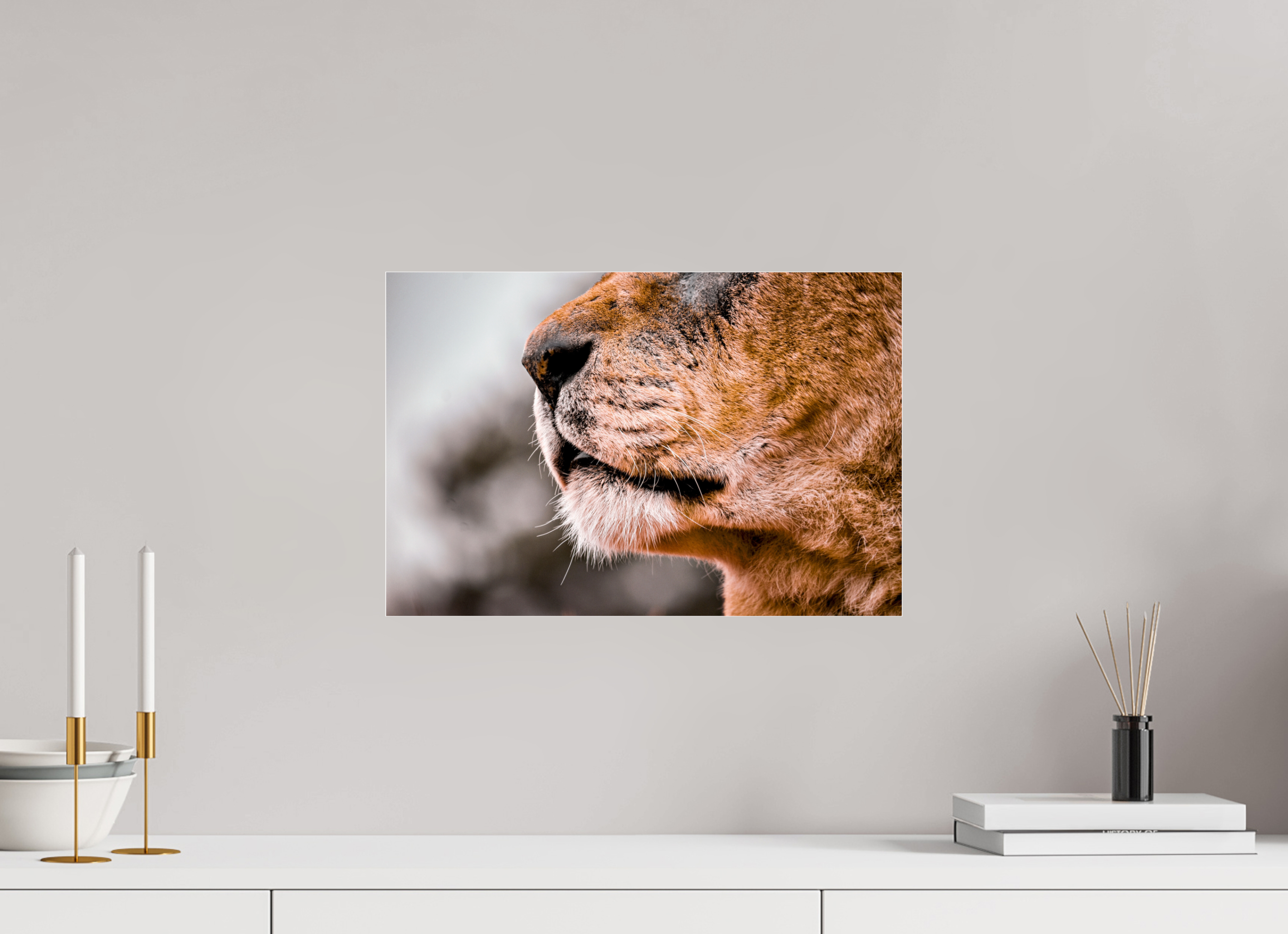 45 x 30 cm, Floating Metal Print Majesty.