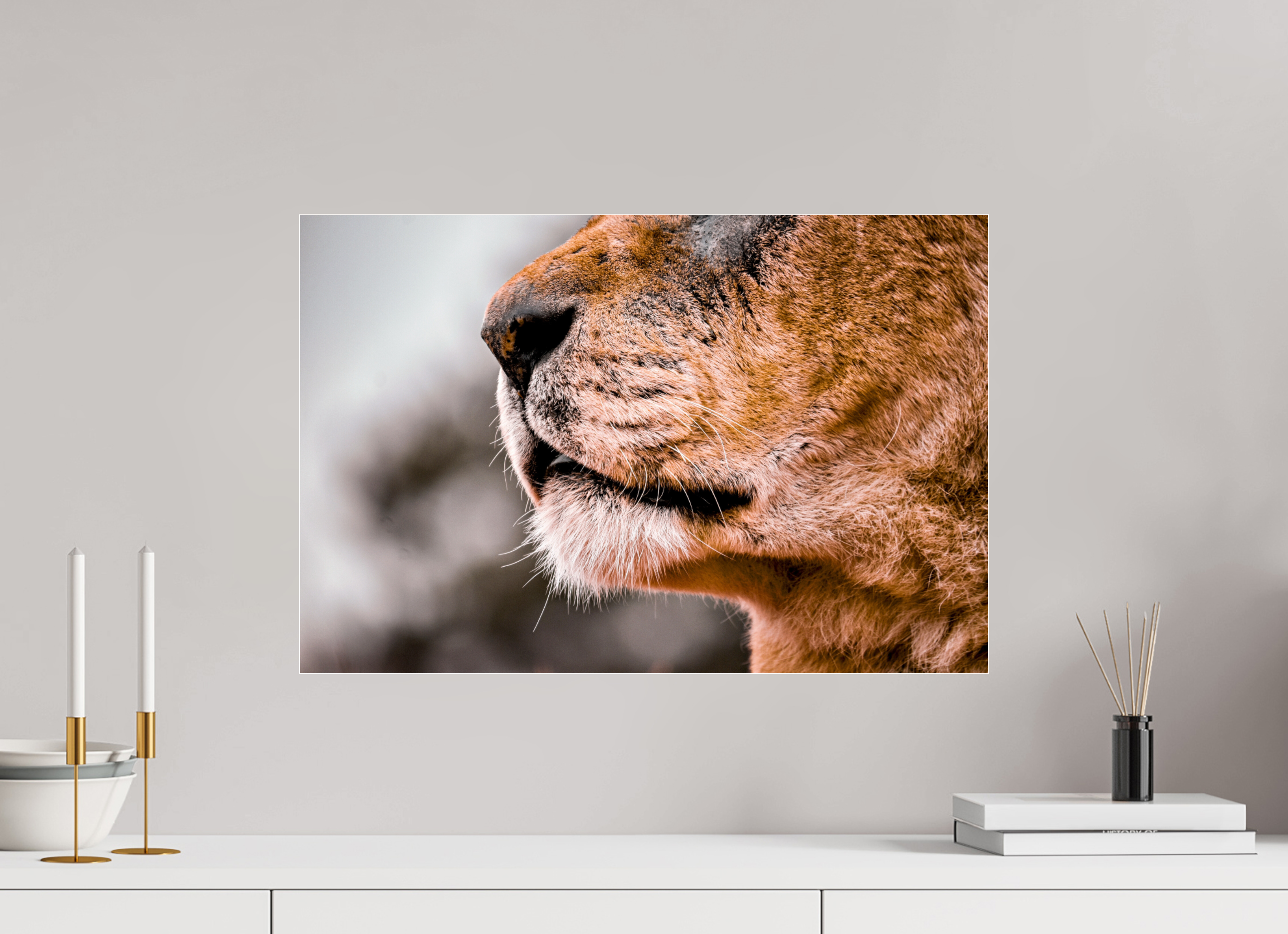 60 x 40 cm, Floating Metal Print Majesty.