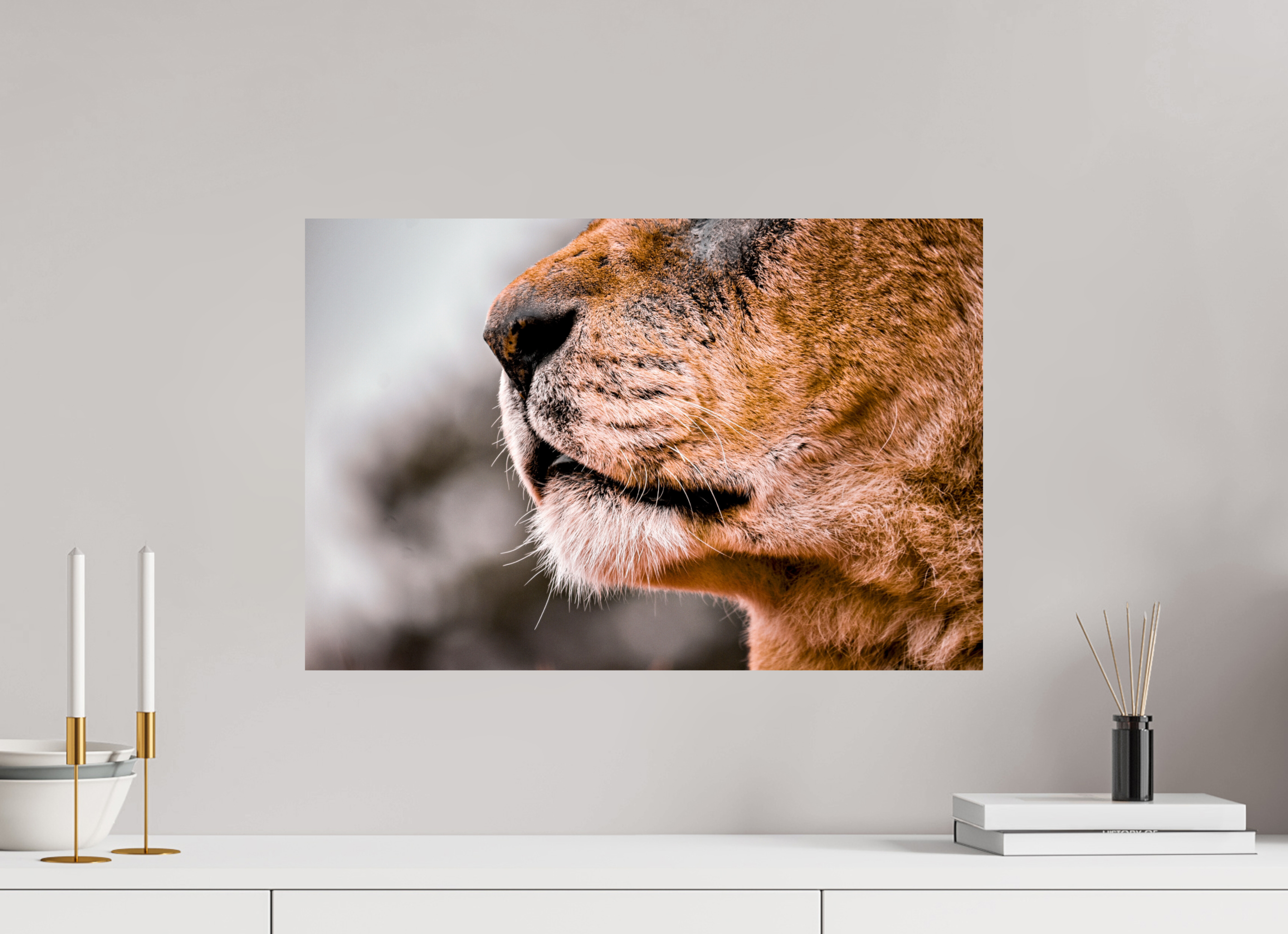 60 x 40 cm, Lustre Print Majesty.