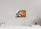 30 x 20 cm, Lustre Print Majesty.